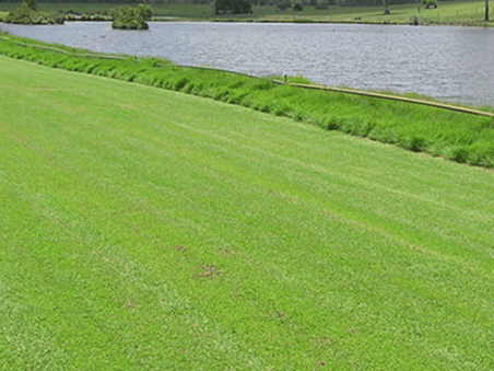 turf supplies cronulla turf supplies cronulla