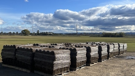 Turf Solutions for Sydney Homes from Associated Turf