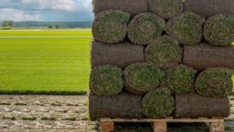 Landscape Turf Supplies